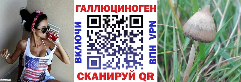 Галлюциногенные грибы Cubensis Лобня