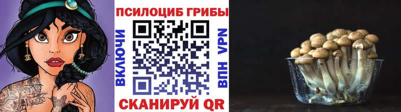 Псилоцибиновые грибы ЛСД  это официальный сайт  Лобня 
